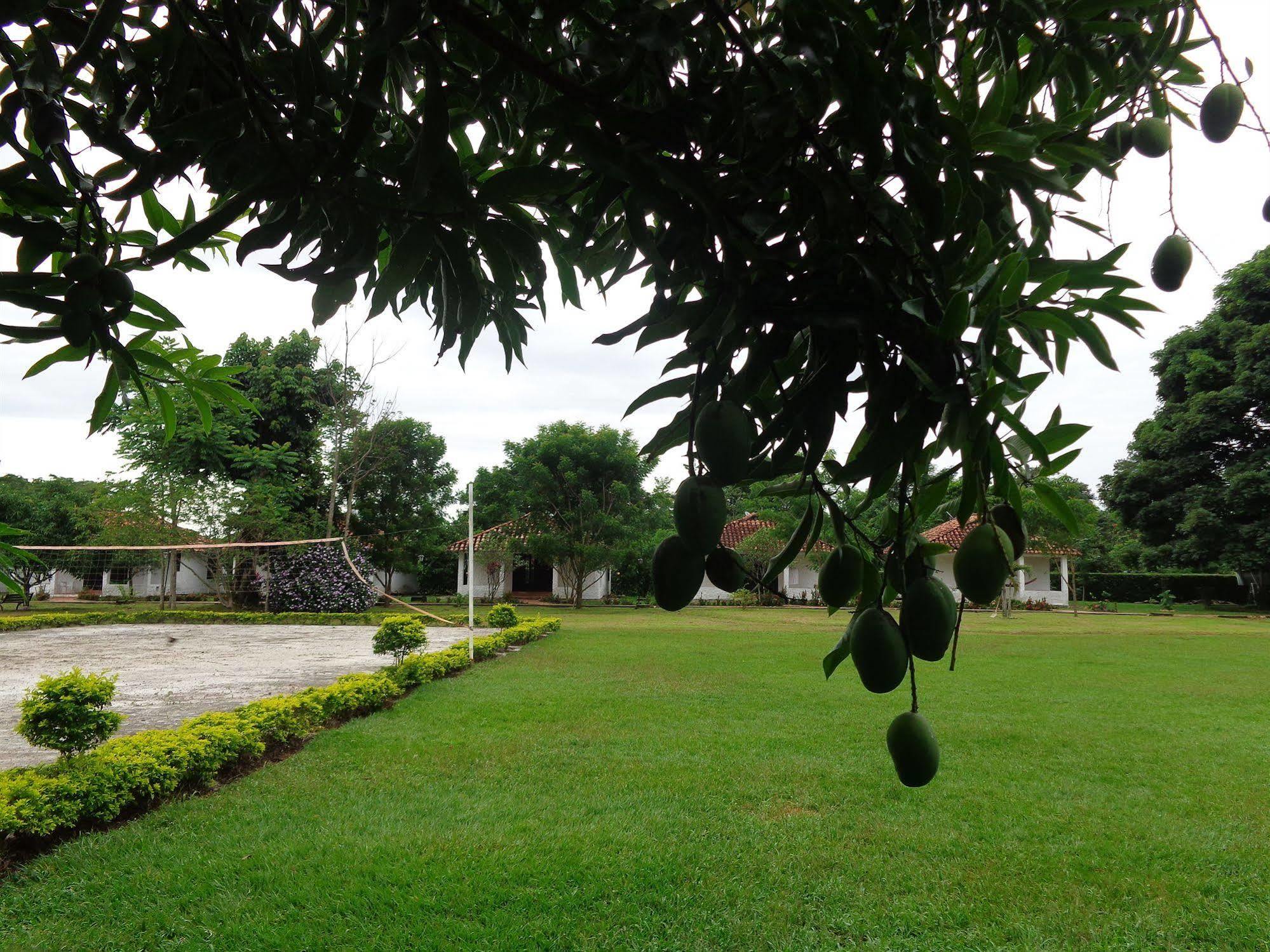 Hotel Campestre Arboretto فيلافيسينسيو المظهر الخارجي الصورة
