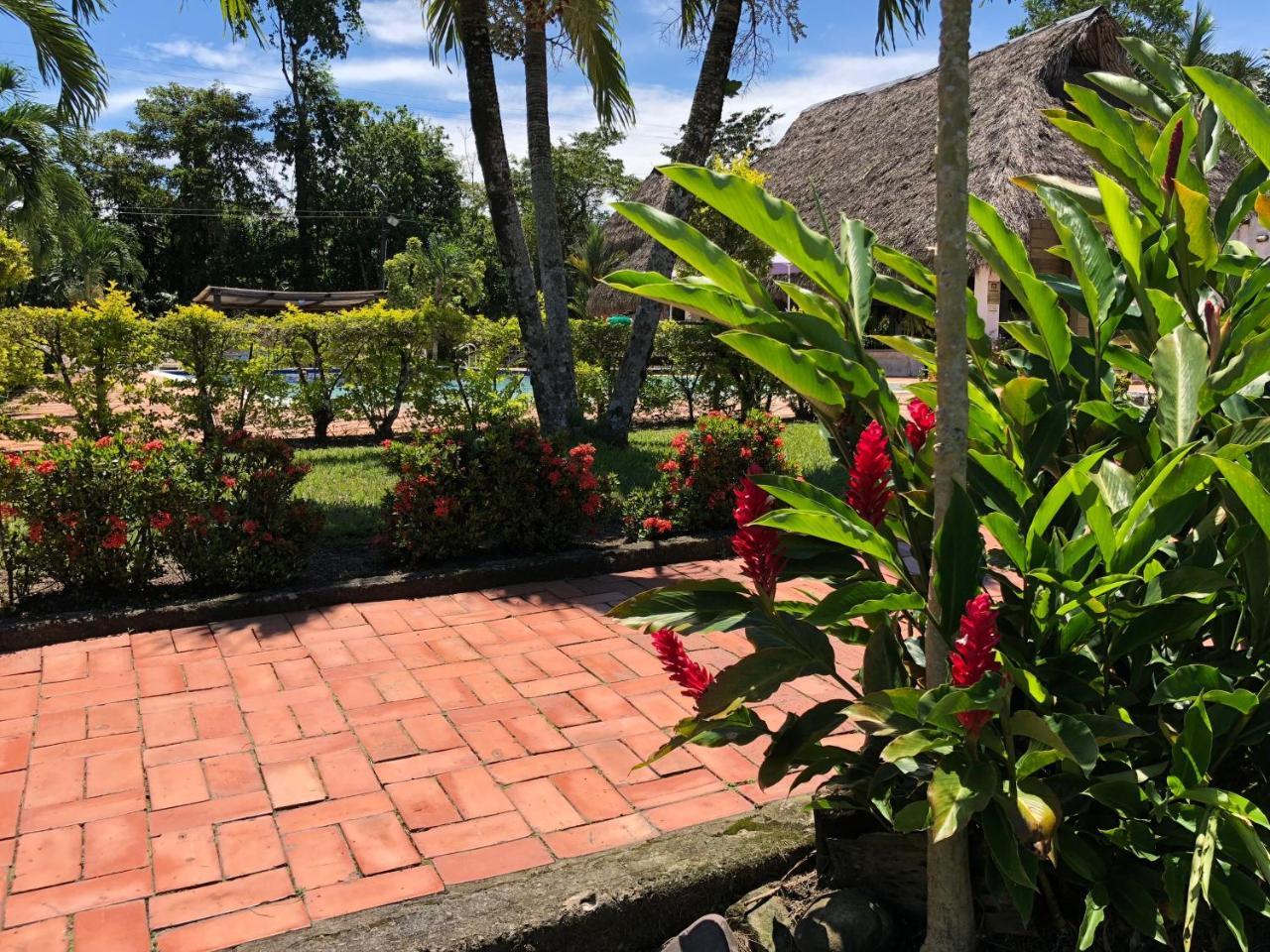 Hotel Campestre Arboretto فيلافيسينسيو المظهر الخارجي الصورة