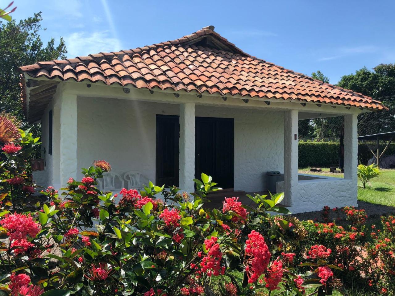 Hotel Campestre Arboretto فيلافيسينسيو المظهر الخارجي الصورة