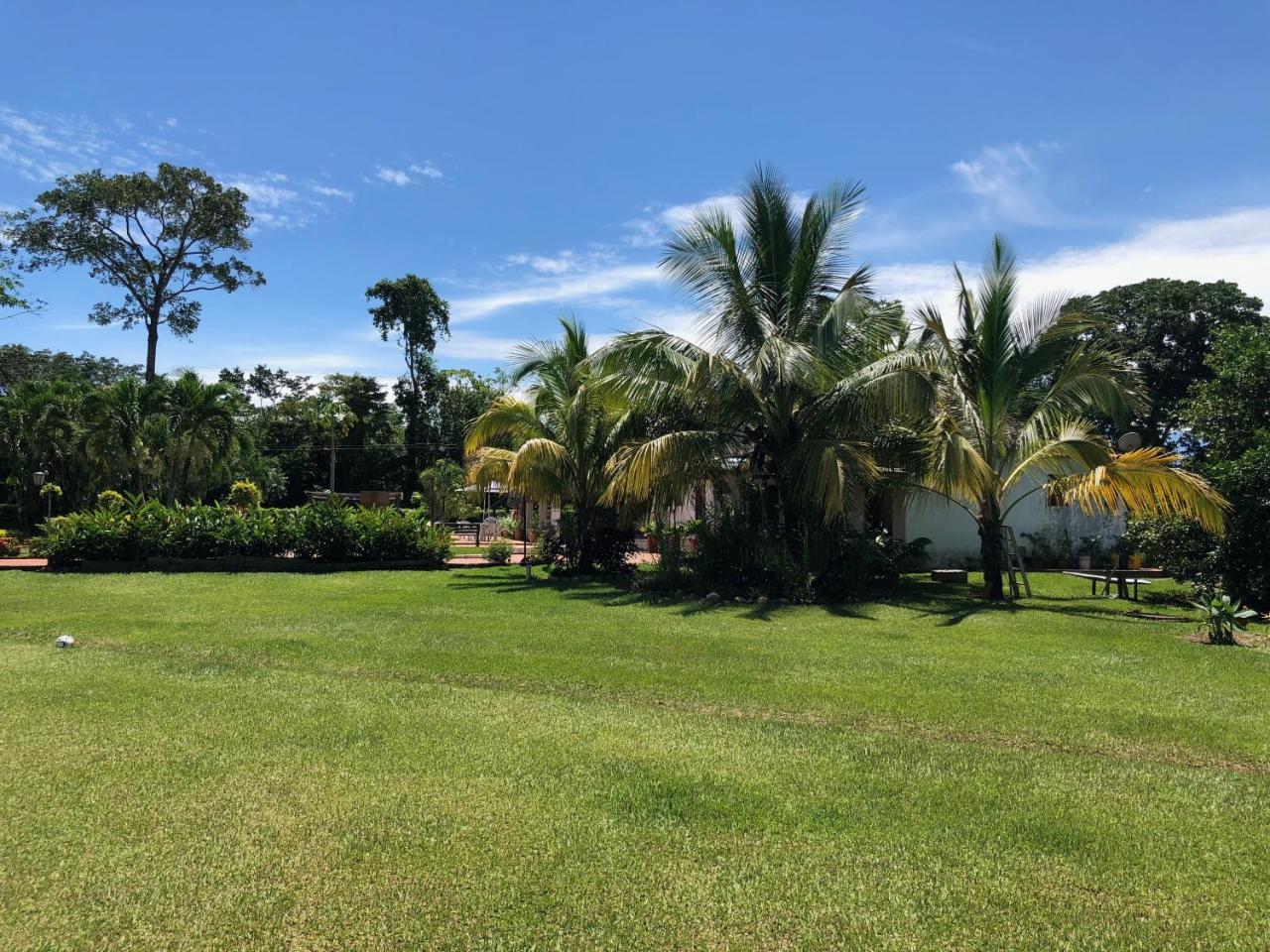 Hotel Campestre Arboretto فيلافيسينسيو المظهر الخارجي الصورة